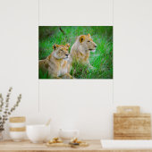 Poster Lion Mère et Fils pendent dans l'herbe au Botswana (Cuisine)