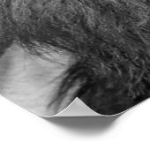 Poster Lion motivationnel leadership unique noir blanc (Coin)