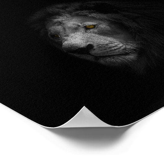 Poster Lion, noir et blanc, (Coin)