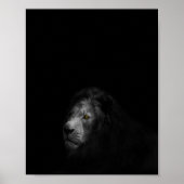 Poster Lion, noir et blanc, (Devant)