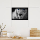 Poster Lion Noir Et Blanc Aux Yeux Bleus (Cuisine)