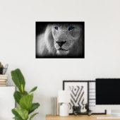 Poster Lion Noir Et Blanc Aux Yeux Bleus (Bureau à domicile)