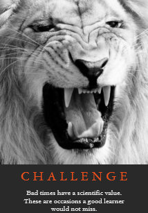 Posters Affiches Toiles Lion Noir Zazzle Be