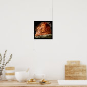 Poster Lion papa et un petit lionceau (Cuisine)