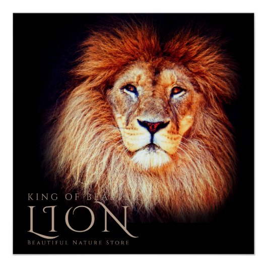Poster Lion [Perfect Poster] (Devant)