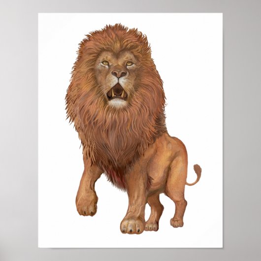 Poster Lion Petit (Devant)