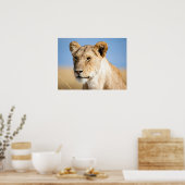 Poster Lion portrait photo (Cuisine)
