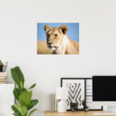 Poster Lion portrait photo (Bureau à domicile)