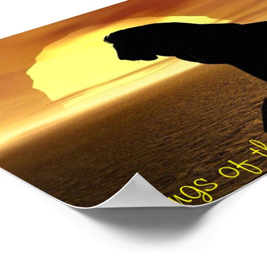 Poster Lion Poster: Kings of the Jungle, born to rule. (Coin)