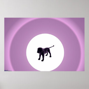 Poster Lion pourpre