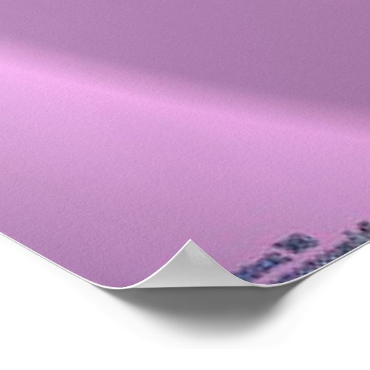 Poster Lion pourpre (Coin)