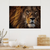 Poster Lion Predator Lion (Cuisine)