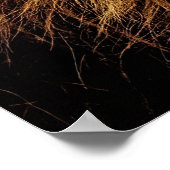 Poster Lion Predator Lion (Coin)