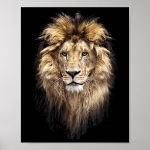 Poster Lion Principal Animal Face Big Cat