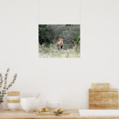 Poster lion proud (Cuisine)