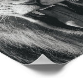 Poster Lion Rage noir et blanc Rocher (Coin)