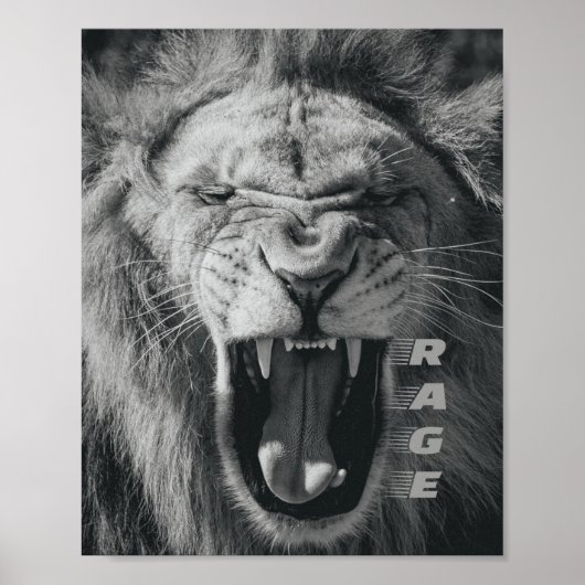 Poster Lion Rage noir et blanc Rocher (Devant)