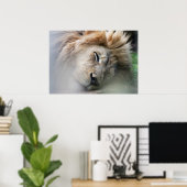 Poster Lion rêveur (Bureau à domicile)
