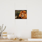 Poster Lion, Roi de la Jungle (Cuisine)