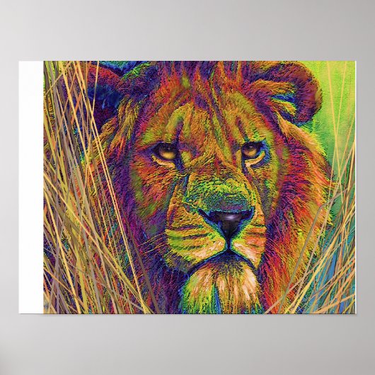 Poster lion royal (Devant)