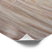 Poster lion rugissant gros chat faune art réaliste (Coin)