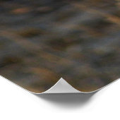 Poster Lion sud-africain (Coin)