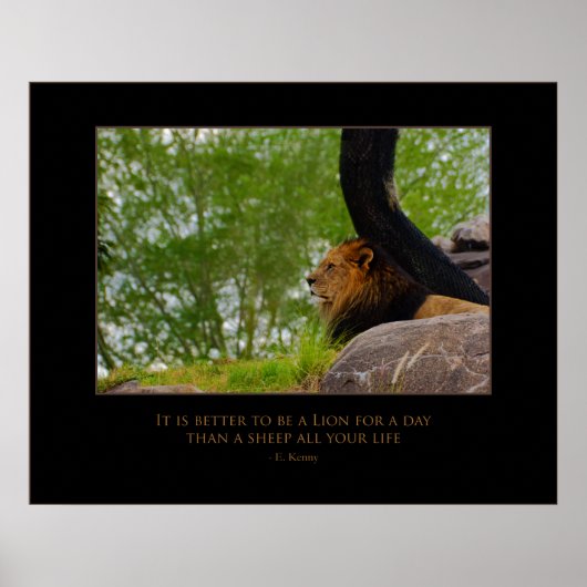 Poster Lion sur le Mont (Devant)