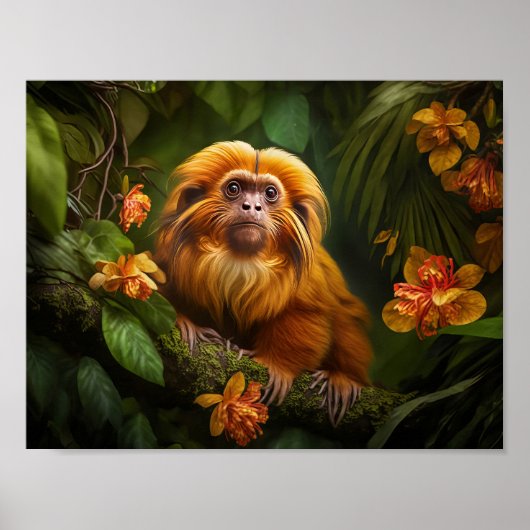 Poster Lion Tamarin (Devant)