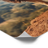 Poster Lion torride sur la montagne (Coin)