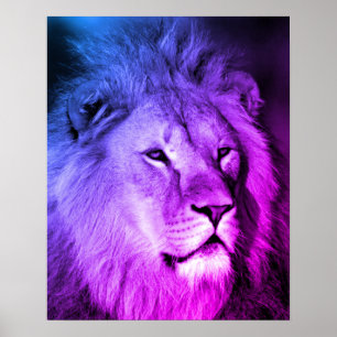 Poster Lion Violet Bleu - Art de la photographie animale