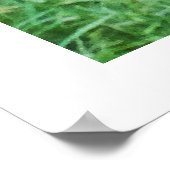 Poster Lion wild life animal (Coin)