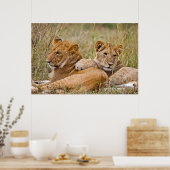 Poster Lionceaux au repos (Cuisine)