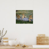 Poster Lionceaux sur rondin (Cuisine)