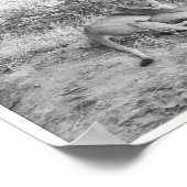 Poster Lioness (Coin)