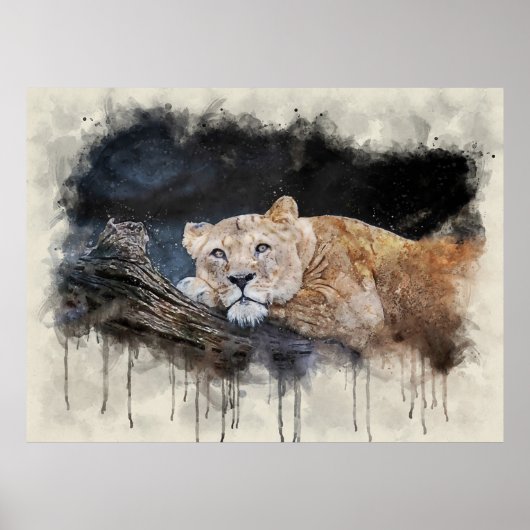 Poster Lioness (Devant)