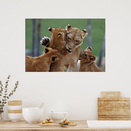 Poster Lioness et ses petits (Cuisine)