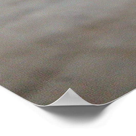 POSTER LIONESS RELAXING (Coin)