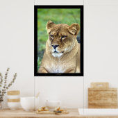 Poster Lioness (version couleur) (Cuisine)