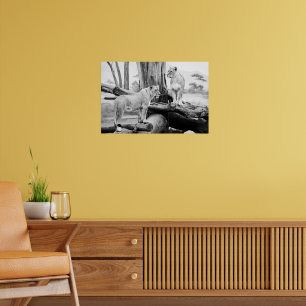 Poster Lioness Wildlife Black & White Photography Art