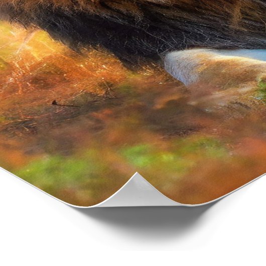 Poster Lioness with Cub (Coin)