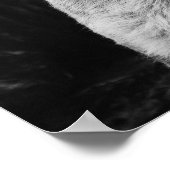 Poster Lionesse de Yawning - Noir & Blanc (Coin)