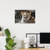 Poster lionne (Bureau à domicile)