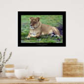 Poster Lionne africaine (Cuisine)