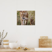 Poster Lionne avec son petit (Cuisine)