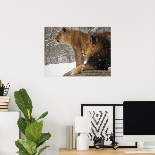 Poster Lions (Bureau à domicile)