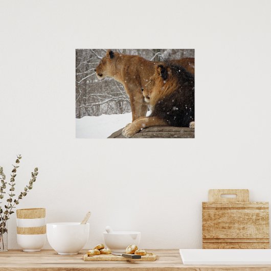 Poster Lions (Cuisine)