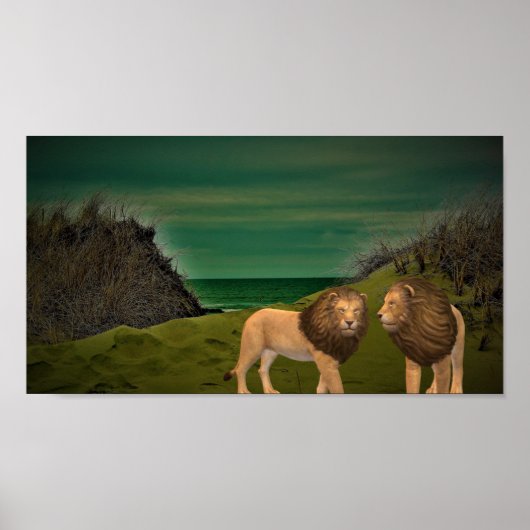 Poster Lions (Devant)