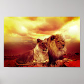 Poster Lions (Devant)