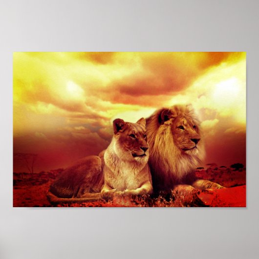 Poster Lions (Devant)