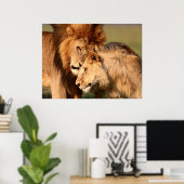 Poster Lions (Bureau à domicile)